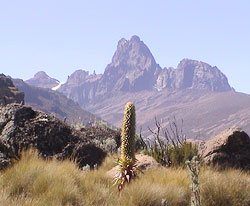Mount Kenya Climbing Expeditions! Group Climbing Mt. Kenya cheap tours and packages 